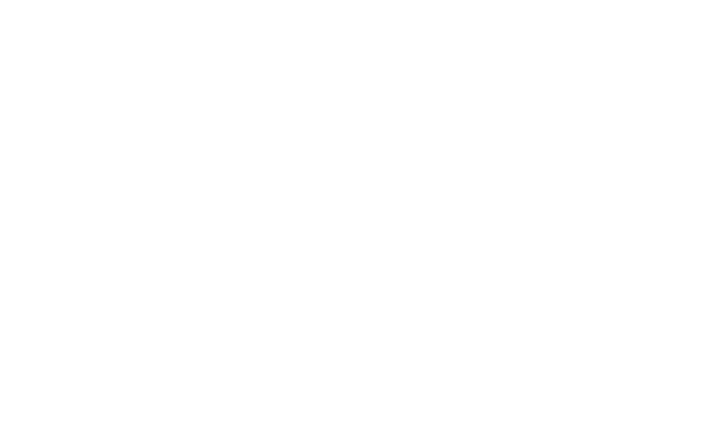 Total Web Solutions