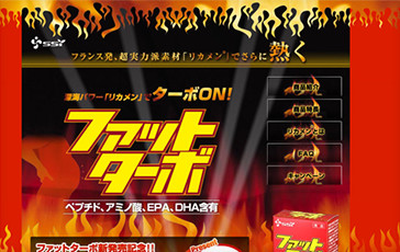 株式会社エスエスアイ様　ファットターボサイト