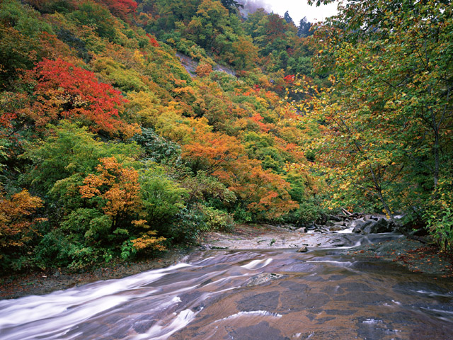 仕事の息抜きに紅葉でも。Googleビューで紅葉の旅