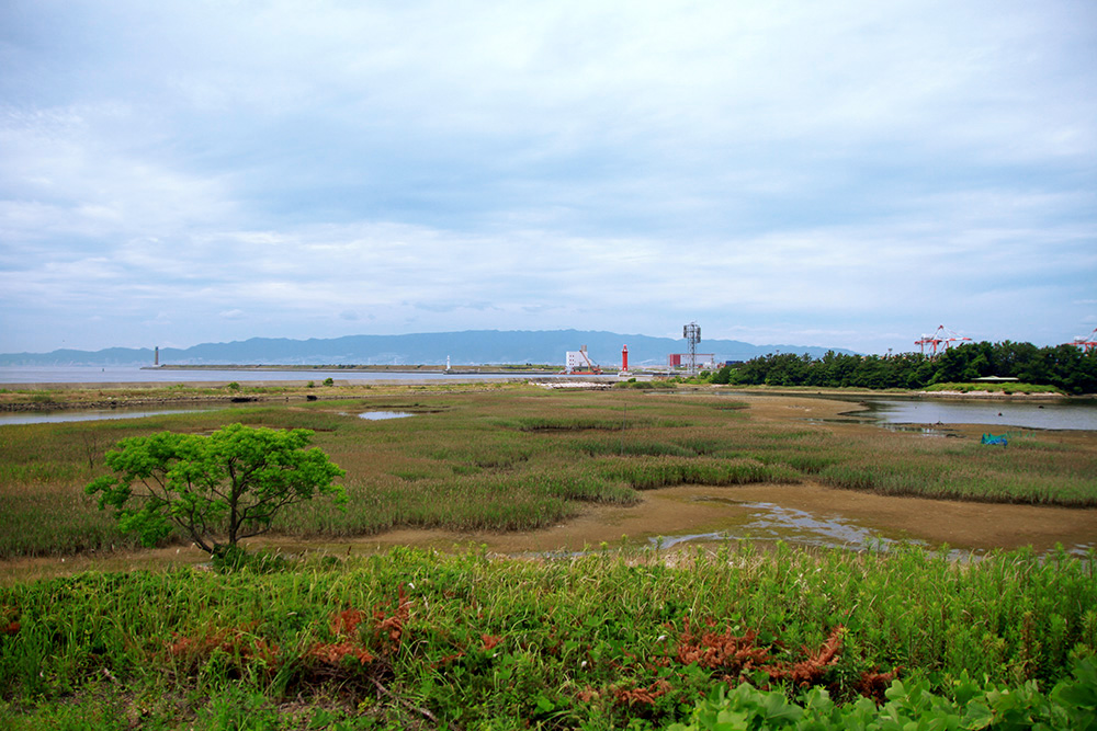 1.こういう自然環境の中で野鳥を観察します.