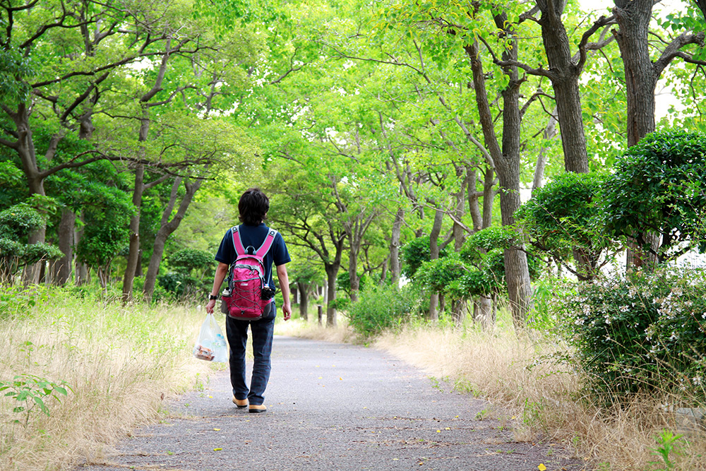 5.さあ野鳥公園に向かいますB