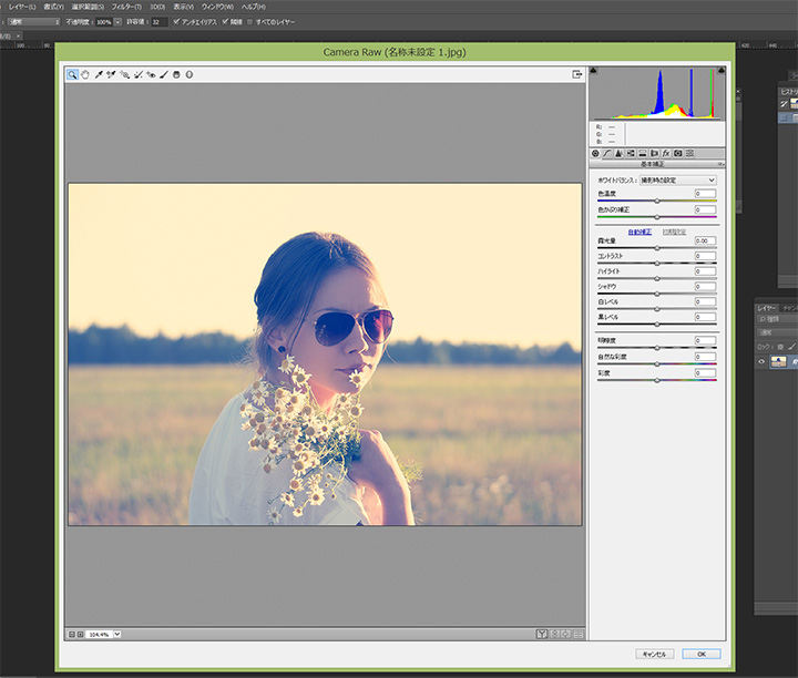 photoshop Camera-Rawフィルターjpg