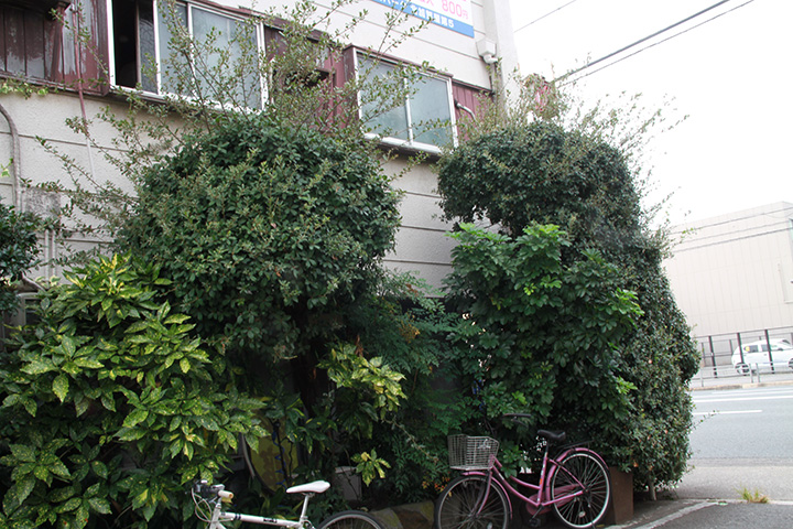 Air Osaka hostel