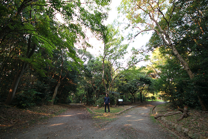 SIGMA広角レンズ　南港