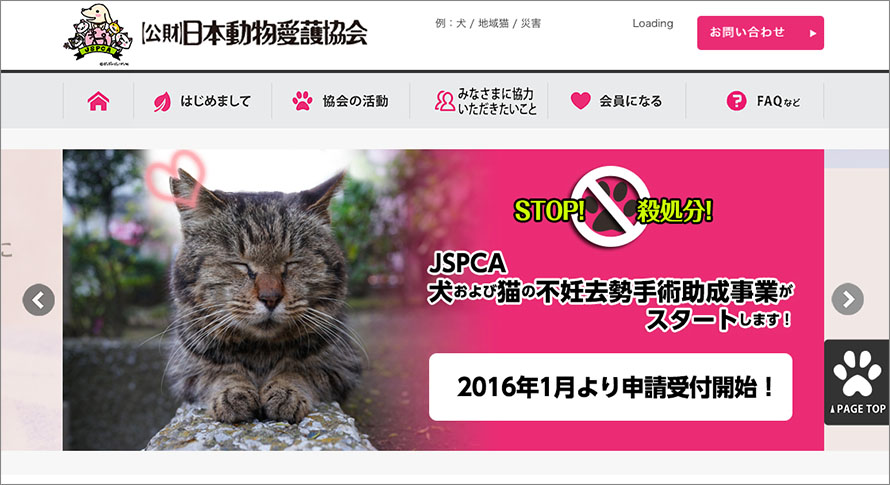 保護猫カフェかぎしっぽ