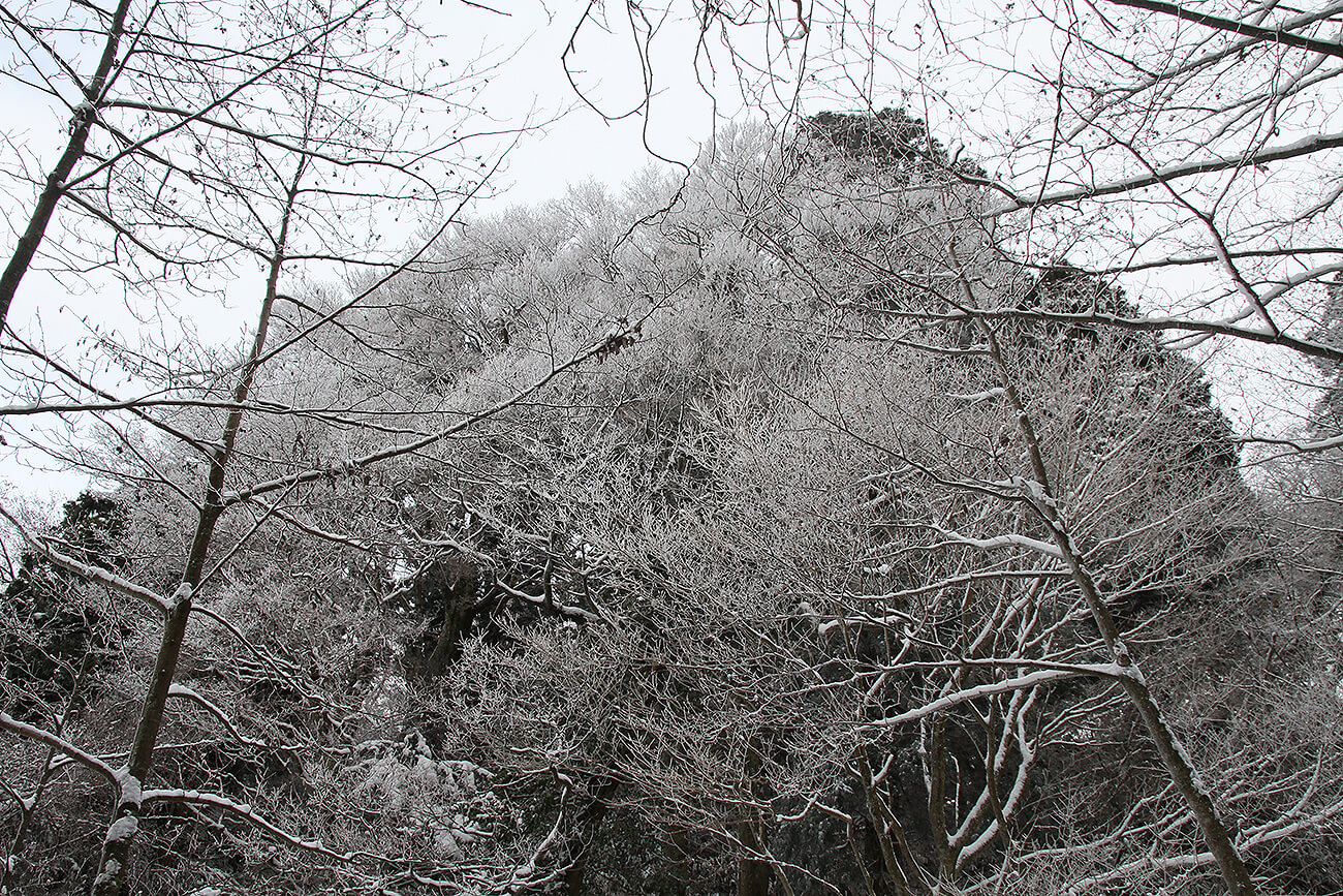金剛山登山 樹氷