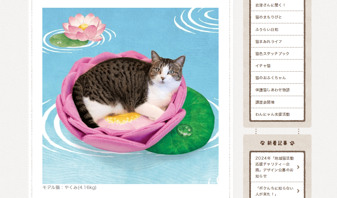 尊い猫さまを拝もう！猫用ベッド「蓮の花にゃんこクッション」が完成♪│フェリシモ猫部